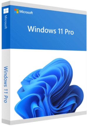 Windows 11 Professional Retail Key activation screen