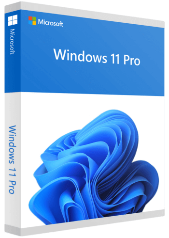 Windows 11 Professional OEM Key digital license screen